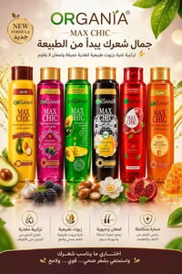 الشعب • جملة ومفرد • شامبو