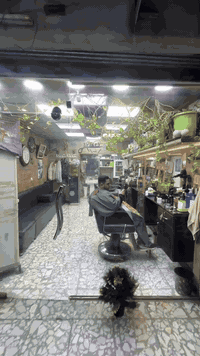 شباب، اليوم عدنا جام خانه للبيع
نضيفه جدًا وحالتها ممتازة
للاستفسار الاتصال على الرقم: ***********
