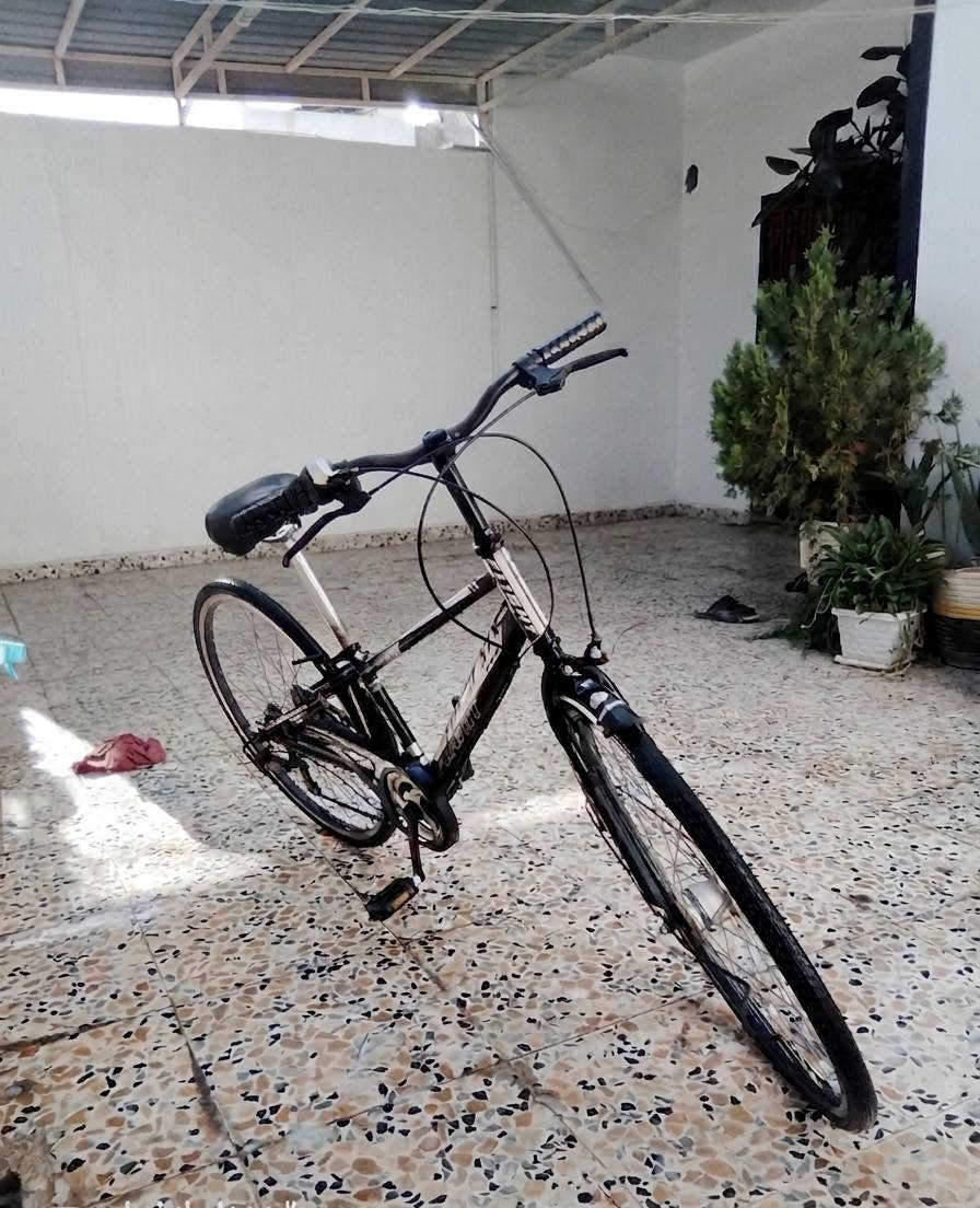 بايسكل رياضي للبيع نضيف
السعر : 85 الف و بي مجال اشويه
العنوان :كركوك 55 قرب جامع الحاجة نجمه ابو خمره


**إذا كنت صاحب هذا الإعلان وتريد حذفه لأي سبب، رجاءا أرسل رسالة إلى الدعم الفني**