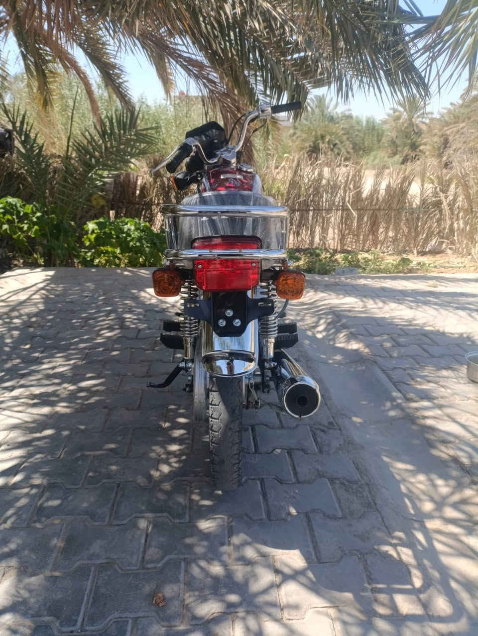 لالبيع تفاصيل واستفسار بل رقم☎️***********
