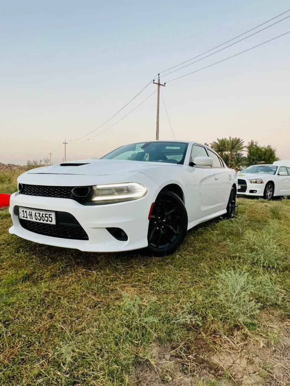 دوج تشارجر 2019 اصل بغداد بسمي دولي

 حادثها جاملغ وبنيد صبغ سونار مع الصور 

مواصفات اصل  جيتي 

مكينه وگير 3600 توه ويل 

كشنات دبل حضن 

رادار جانبي+  حساسات

شاشه كبيره +كامره بلاد

شفتات استيرن 

مرايه وسطيه تعتيم الضوء

السياره جاهزه اخر حبايه ادامه عامه مكينه وكير

 وحداده ولايت زنون وباتري وتبريد كله جديد 

العنوان ذي قار الشطره *********** واتساب

السعر 205 وبيها مجال للشراي
