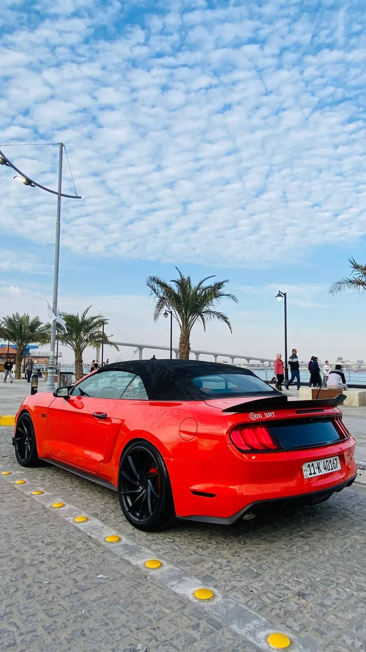 موستنك ١٥ برتقالي مميز كشف
مكينه ٦
حادث جاملق امامي بدون شواصي وجاملق ثاني تبديل وجاملق خلفي شبر  والباقي كفاله 
فول مواصفات 
جاهزا الخير 
رقم دولي بغداد تحويل مباشر 
مكاني بصره 
السعر ١٤٠ 
***********
