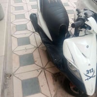 ماكس ثعلب • نوزل • مراوس
