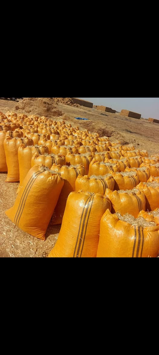 السلام عليكم تبن لبيع بنسب لسعار لرايد تبن يتصل *********** وتوصيل بابل ديوانيه  وكربلاه وبغداد
