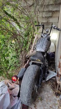 هارلي ستد  رقم بغداد وسنوية باسمي لدراجه تاركها نكره بكل وقت سعرها ملي...