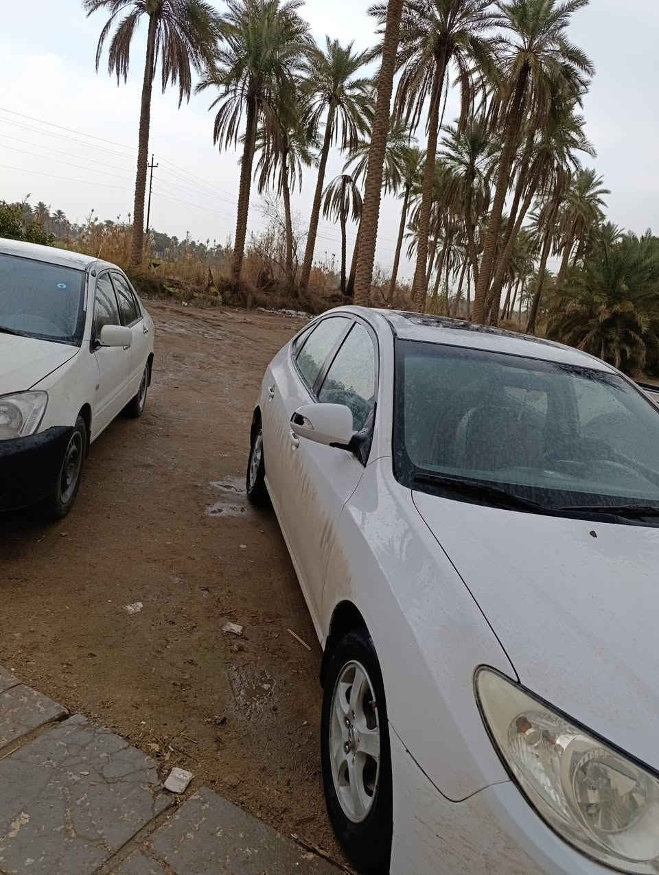 سلام عليكم النترا للبيع موديل 11خليجي مكينه جديده كير مكفول فتحه اشاير بل مري 
بيهه قطعه تبديل وربع باب صبغ رقم شمالي سليماينه 
السعر 107وبيهه مجال بسيط الشراي يتصل مكاني شاميه ***********
