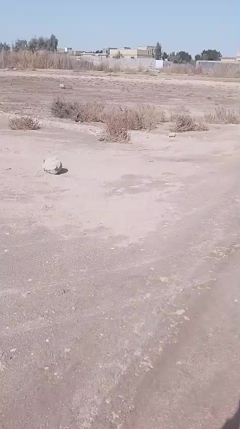 قطعه زراعي للبيع 200 متر 
العنوان الصخيين مسافه عن الحولي 
السعر 10 وبيها مجال

☎️ للاستفسار اكثر 👇
📨 مراسله الصفحه


**إذا كنت صاحب هذا الإعلان وتريد حذفه لأي سبب، رجاءا أرسل رسالة إلى الدعم الفني**