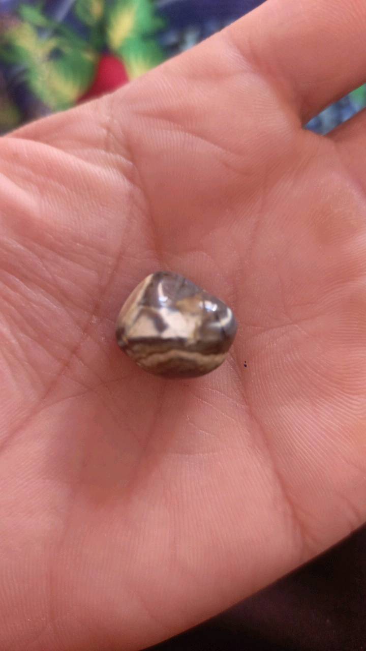 السماوه الرميثه كل وحده وسعرهه المراسله وتساب 