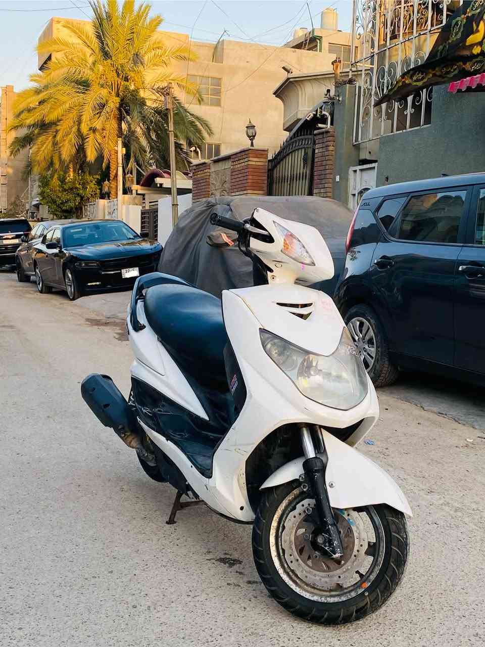 دراجة سكنس فحل نوزل للبيع
كلچ امامي رياضي بلادي🔴
طلاعات🔴
المگينة بلادي ما مفتوحة جيب فيتر وافحص🔴
الدراجة التاير الخلفي قبل يومين تاير جديد تاي وان🔴
التاير الامامي قبل شهر تبديل جديد 🔴 
باتري جديد اصلي🔴
 الاشارة الگهربائية اليسار موجودة بس مشادها🔴
الدراجة مابيها اي شي نقص فقط قمچيات مال بريك 
وكم شغلة بسيطة جدا بل گهربائيات 
السعر 650 وبيها مجال 
الرقم ***********
العنوان بغداد حي القاهرة
