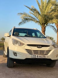 خليجية • ٢٠١٠ • ابو غريب