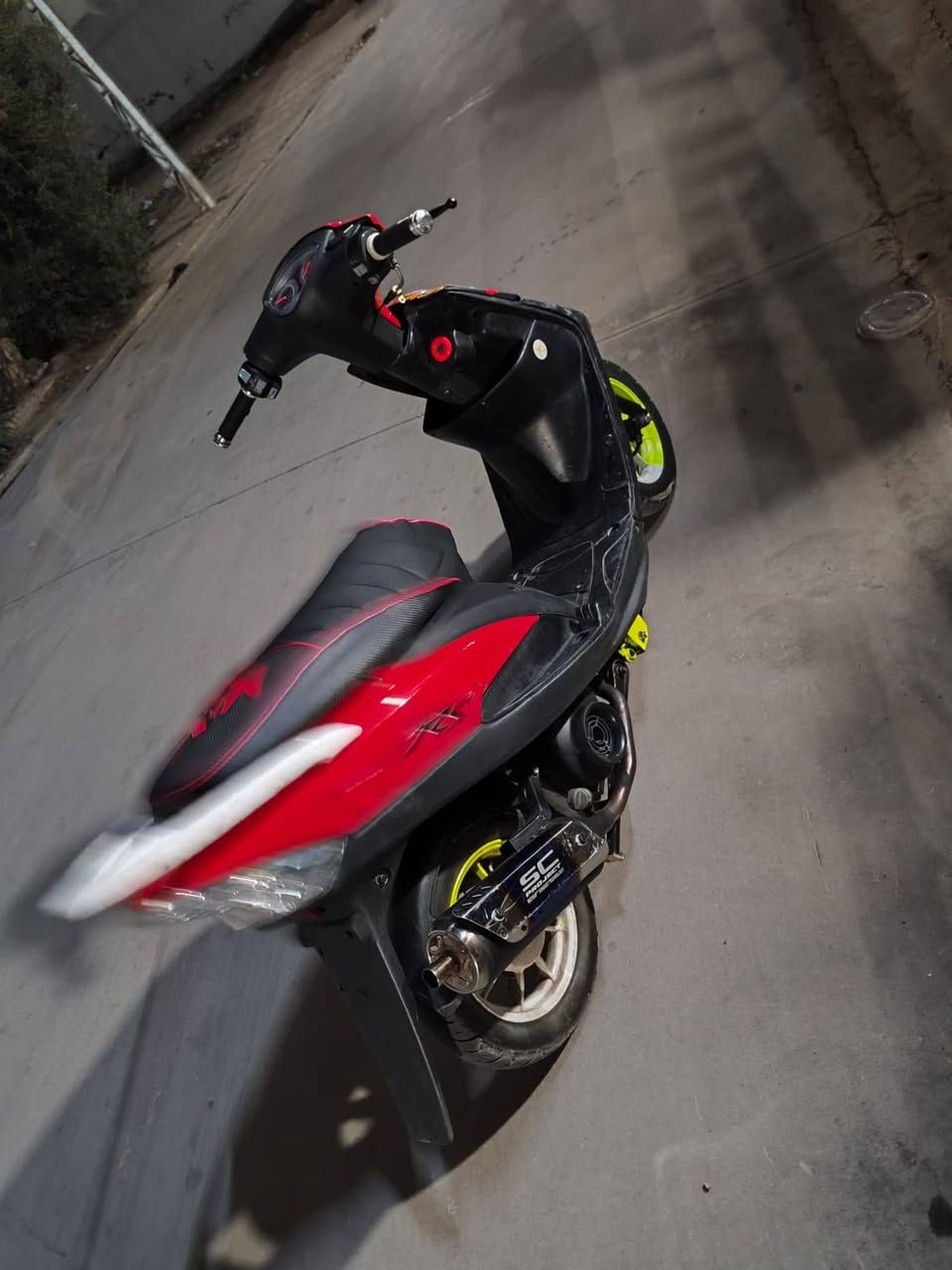 سلام عليكم
عدله لبيع 
بوشه 55
شرط شلعه ومعدل 
نظافه فول 
سعر دراجه 600 بي مجال
اذا مو شراي لاتعبني 
اتصل على 
***********
