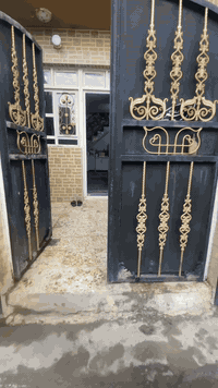 السلام عليكم الدار للبيع الموقع ام نجم شارع الامين البيت مقابيل مدرسة  مالك الاشتر ماكو كدامه بيوت
المساحه 75 م الوجهة 7.5 النزال 10
للاستفسار الاتصال:
***********
تفاصيل البيت استقبال مطبخ هول خدمات غربي شرقي خارجي داخلي 
طابق الثاني غرفتين خدمات
