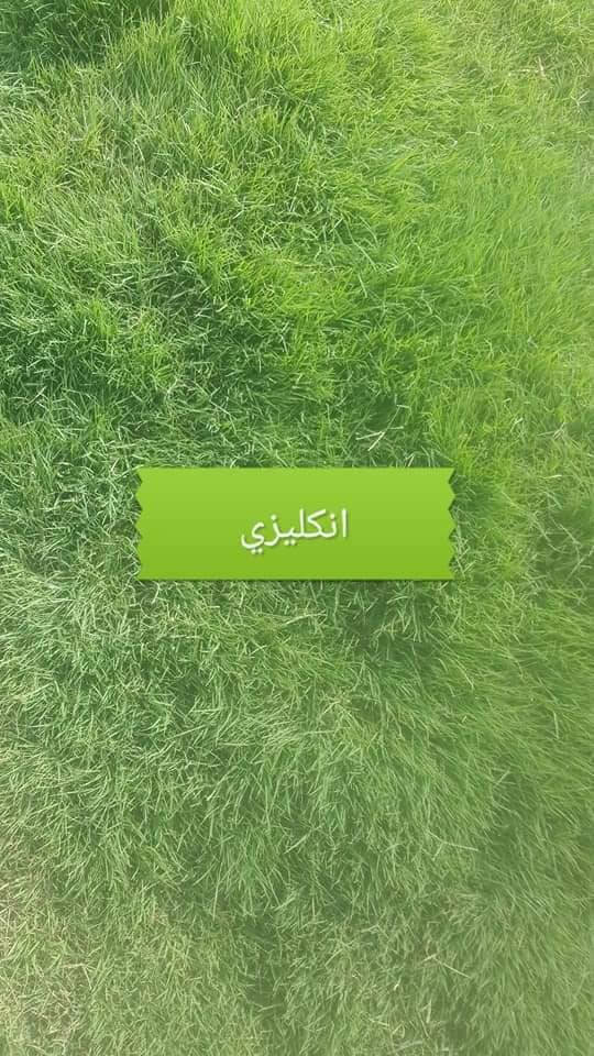 زبائننا الكرام اسعار تنافسيه سارع عله الحجز ابو الكميات سارع عله الحجز
متوفر كافة انواع الثيل الطبيعي 
الثيل الامريكي🌿الثيل الهندي🌿الثيل الايطالي 🌿الثيل الفرنسي
مع كادر مختص يجيك لباب بيتك
بسعر مناسب وكفاءة عالية
نجهز كل انواع الحدائق
والملاعب والمتنزهات 💚
الاسعار تختلف بختلاف النوع
ثيلنة الافضل 
وتوصيلنة الاسرع 🚙🚚
للطلب او الاستفسار التواصل مع الصفحة او الاتصال على الرقم التالي
***********     واتساب
***********
