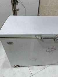 تجميد فول • فريزر • ١٠٠