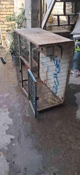 سلام عليكم قفص حديد تسكام -مال طيور الحب-العنوان-بلديات-السعر-50-الرقم-***********

