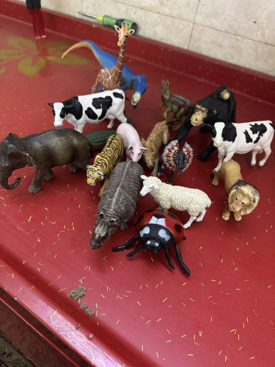 اكثرهم شلاليش


**إذا كنت صاحب هذا الإعلان وتريد حذفه لأي سبب، رجاءا أرسل رسالة إلى الدعم الفني**