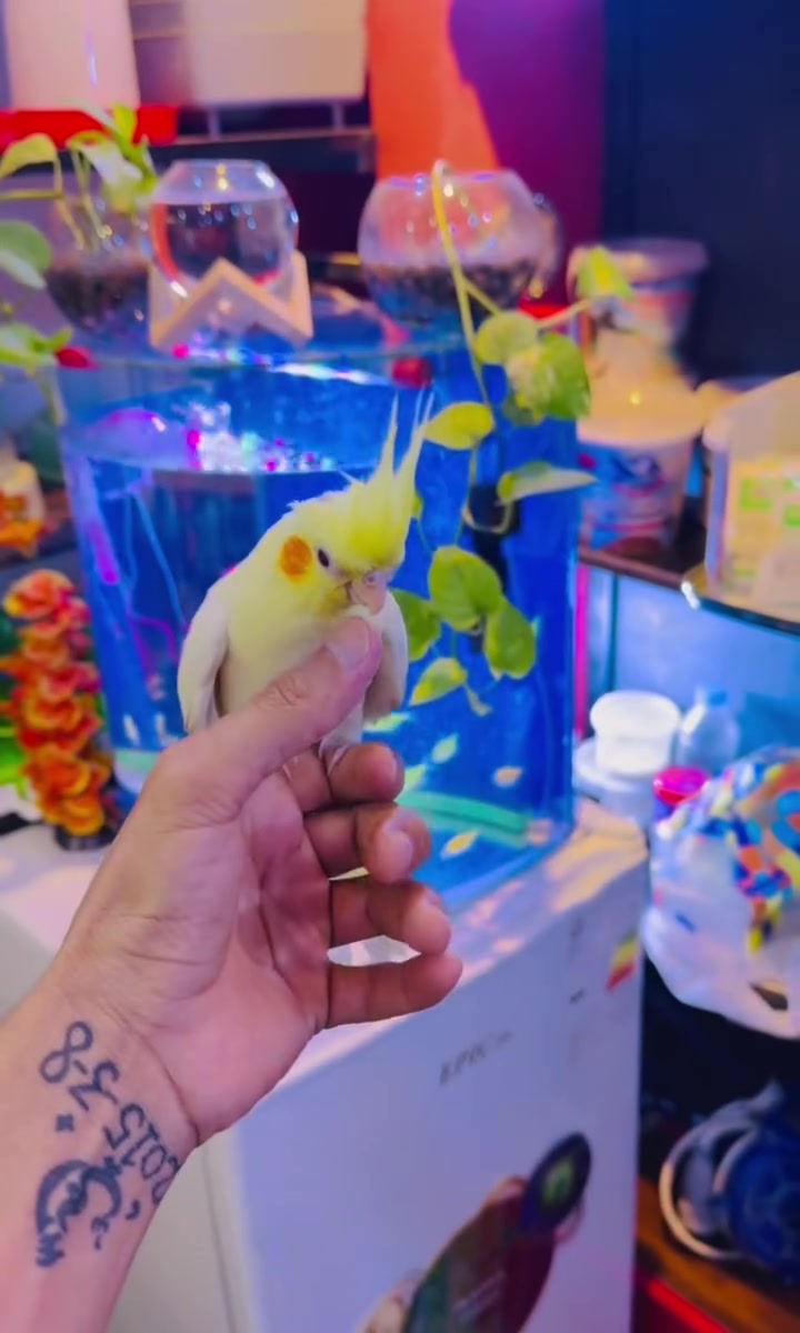 ب25 جنح كامل فول اليف


**إذا كنت صاحب هذا الإعلان وتريد حذفه لأي سبب، رجاءا أرسل رسالة إلى الدعم الفني**