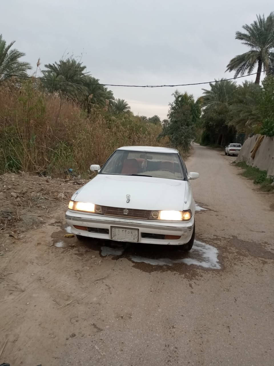 مارك للبيع مكينه ونجي ناعم مكفوله مكينه سياره صاحبها يريد مداور مكفوله من الكص تفاصيل اتصل ودلل ***********
