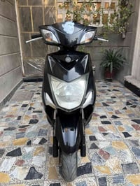 سكنس لد • نكرة • سلف