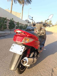 ، سكنس فحل ياباني خطين نوزل لون احمر دراجة مكفولة كفالة عامة شلعة معدل...