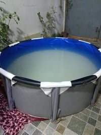 مسبح • للبيع