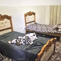 جربايتين ام النفر صاج تسكام للبيع ٠٧٧٠٥٨٨٨٧٧٣ بغداد الحسينيه