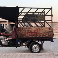 ستوتة • رقم سنوية • كامل
