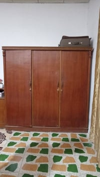 كنتور • جربايه • بالصوره