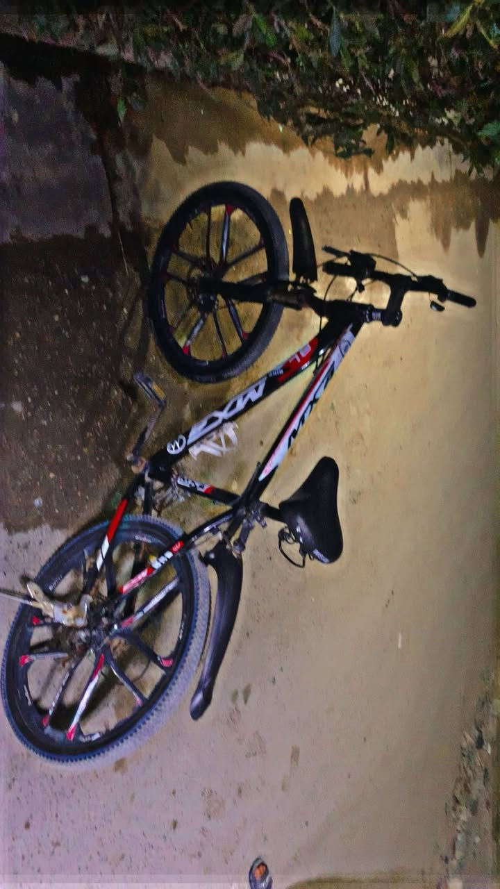 السلام عليكم 
شبابنا الطيبة 
بايسكل  للبيع 
السعر ٨٠ أو بي مجال للشراي فقط
رجاءً إذا مو شراي لتتعامل
مكاني بغداد البلديات قرب تقاطع الكهرباء 

للتواصل فقط واتساب
***********
