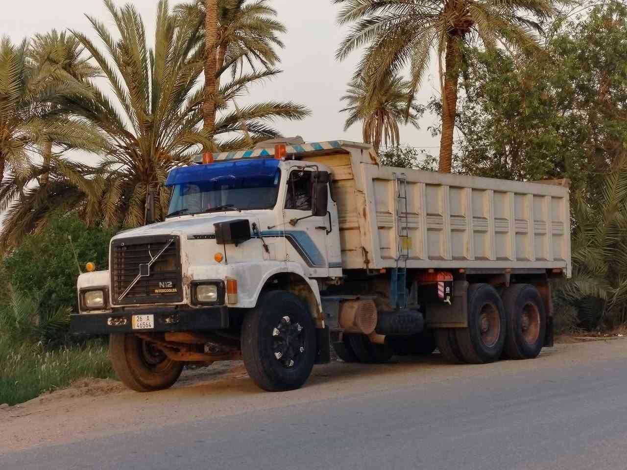 السلام عليكم فالفو للبيع اسرائيلي موديل 89بلادي مكينة ستندر 122 كير اربعه باربعه سيارة تخم تاير  مجموعة النكي دوشمه جديدة رقم انكليزي باسمي مداور ثاني يوم سنوية صادرة السنة 2031ما عليه غرامات سيارة جاهزة للعمل رقم الهاتف ***********
