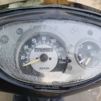 ماكس ثعلب • ١٤٠ • سلف وهندر
