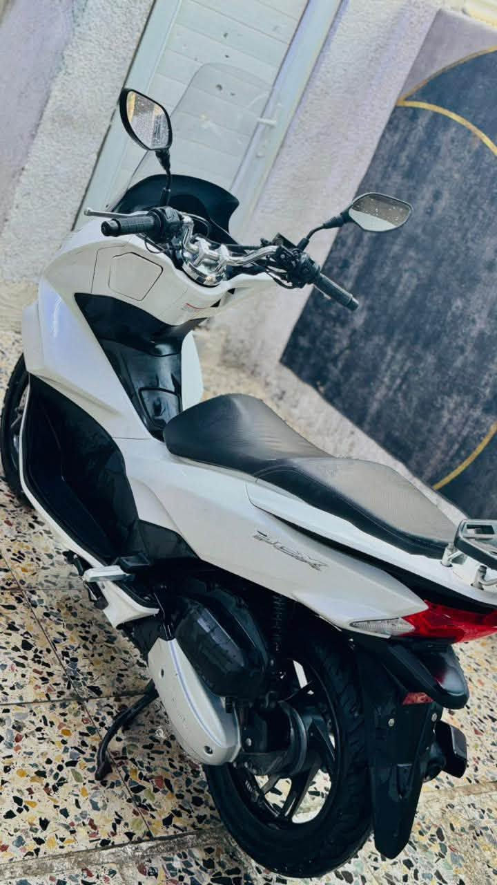 سلام عليكم اخوان دراجة pcx جيل ثاني ياباني jf الدراجه جديده ماخذها من وليد الياباني تجيب فيتر وياك وتفحص ماشية 44 الف مكاني بغداد مدينة الصدر السعر 17 وبيها مجال للاسفسار *********** غير متواجد على الخاص
