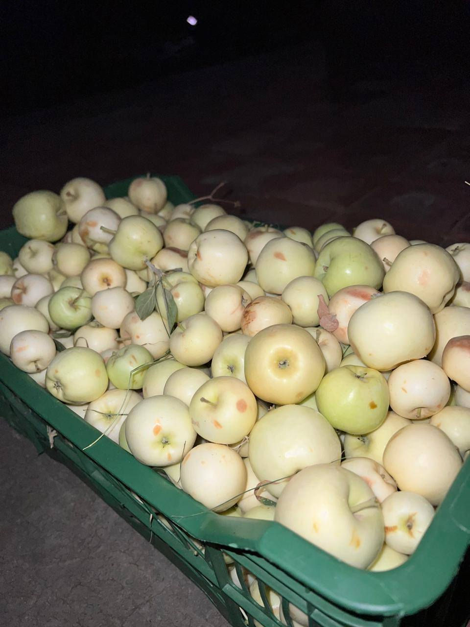 للبيع مزرعه في الصقلاويه بساتين الشاهبندر
مساحه ثلاث دوانم وفيها بيت مؤثث يحتوي على ثلاث غرف نوم وصاله واستقبال وصحيات خارجيه وداخليه ...
المزرعه كامله من جميع الخدمات وفيها اشجار ونخيل مثمره ...
تبعد عن الفلوجه 10 دقائق 
للتواصل  اكثر عبر أرقام المكتب 

*********** اتصال + واتس اب
*********** اتصال 

مكتب الفارس للعقار 
ألفلوجه / مقابل مطعم حجي حسين .
