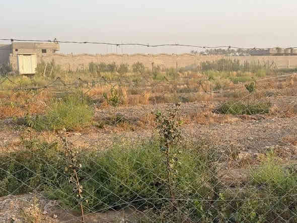 سلام عليكم
مزرعه للبيع
الموقع صلاح الدين قضاء بلد بالبرندس شارع المنتجعات قرب منتجع ابو كون
تفاصيل المزرعه
جنس عقار ملك طابو زراعي سند ٢٥
المساحه 2110 متر 
الواجهه  ٤٠ متر
النزال ٥٣ متر
مسيجه بيارسي 
مزوعه بالكامل انوع الفواكه 
خدمات
تبليط
كهرباء
ماء اساله وماء سيح
ماء بئر وماطور ربون
السعر ٧٥ مليون بي مجال 
للاستفسار الاتصال على الأرقام التاليه
***********
***********
او مراجعة مكتب التمار للعقار الواقع شارع المحطه محلات الحاج عدنان
