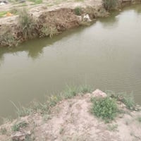 ارض زراعيه • دونمين