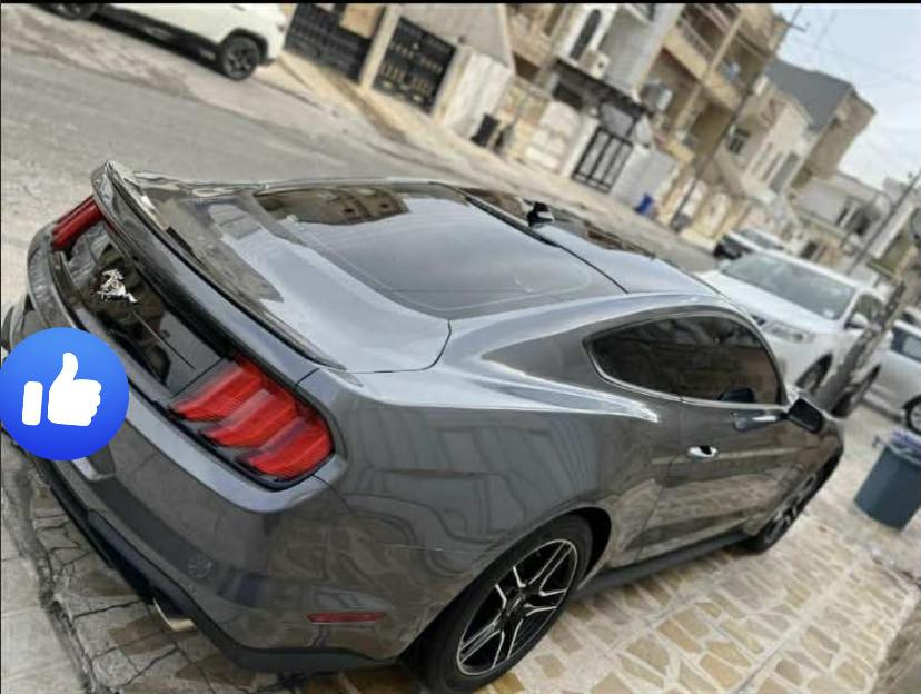 السلام عليكم
موستنك 2023. ايكوبوست فئة بريميوم 
فول مواصفات 
حادثة جاملغ وبنيد 
السياره جاهزه كلشي ماناقصها 
رقم اربيل مكانها بغداد 
السعر مناسب جدا
 140  ماكو هيج سعر 
 *********** 
الشراي يتصل ويدلل
