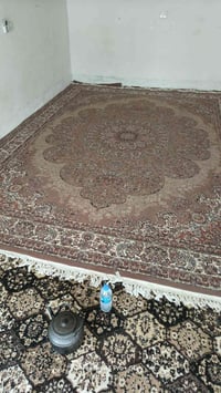 ٦×٤ • ايراني • ٥٠٠ شانه