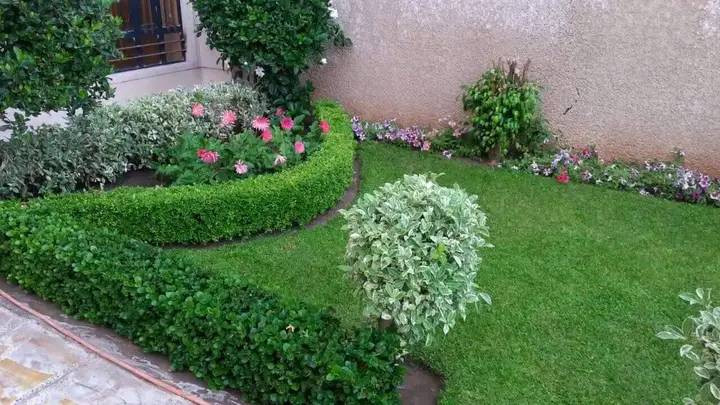 عمل وتنفيذ جميع انواع الحدائق المنزليه كرسته وعمل للتواصل واتساب ***********
