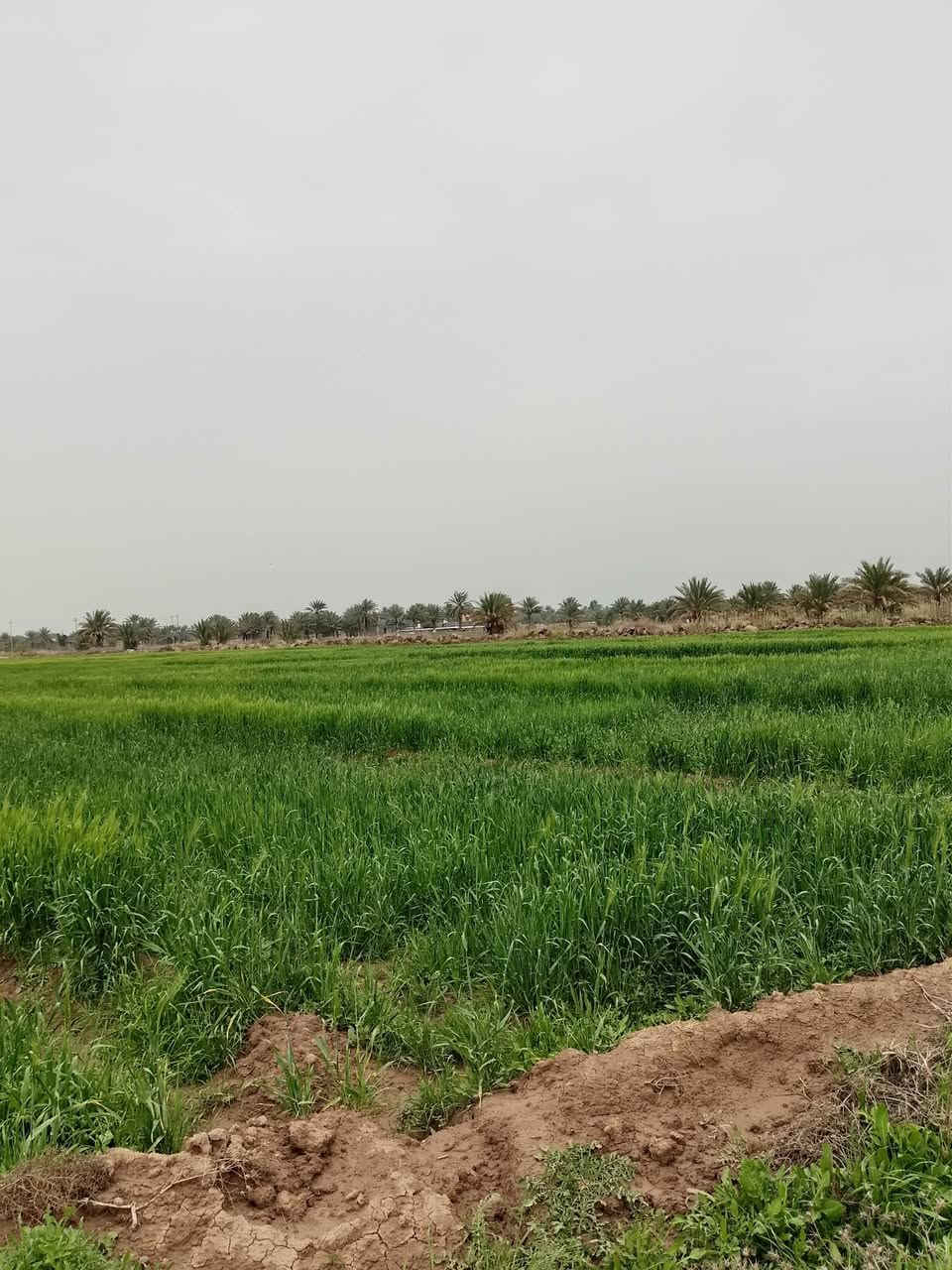 سلام عليكم ✨🚩عرض جديد 
قطعه ارض المساحه 24دونم ✨🚩
طابو زراعي سند 25✨🚩
الخدمات كلها قريبه عليها كاع زراعيه حلوة ✨🚩
ماء سقي متوفر ✨🚩
تنباع كلها او مفرد ✨🚩
العنوان طريق السده محاويل منطقه الحصن ✨🚩
تبعد عن الشارع السايدين تقريباً 750متر ✨🚩
نزال كله تبليط ترابي 150متر فقط تصلح سكن او زراعه ✨🚩
اتصل ‏‪***********‬‏ 
او تعال خاص 
السعر خاص ✨🚩
