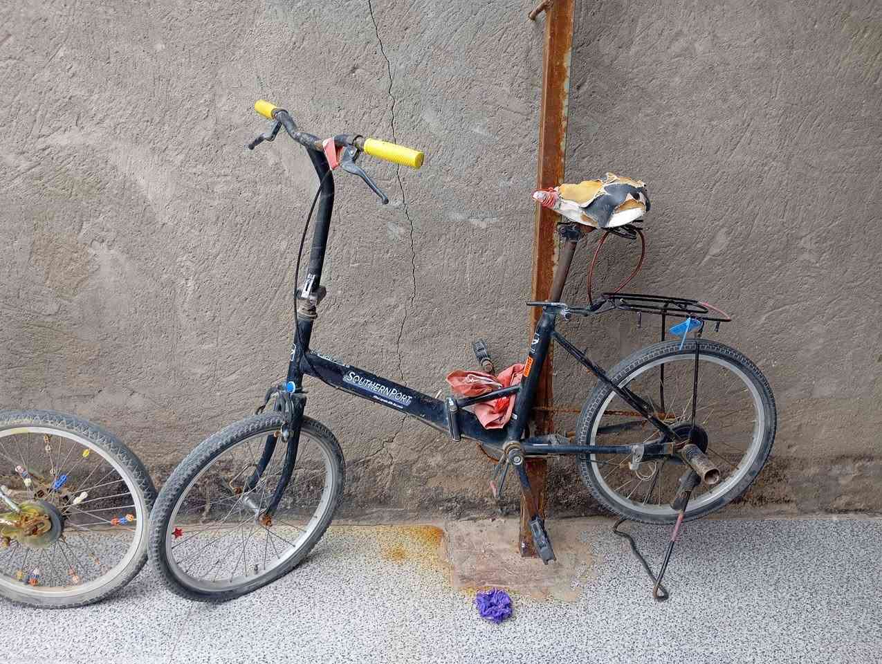 ياباني 2السعر110ثنينهن ميسان


**إذا كنت صاحب هذا الإعلان وتريد حذفه لأي سبب، رجاءا أرسل رسالة إلى الدعم الفني**