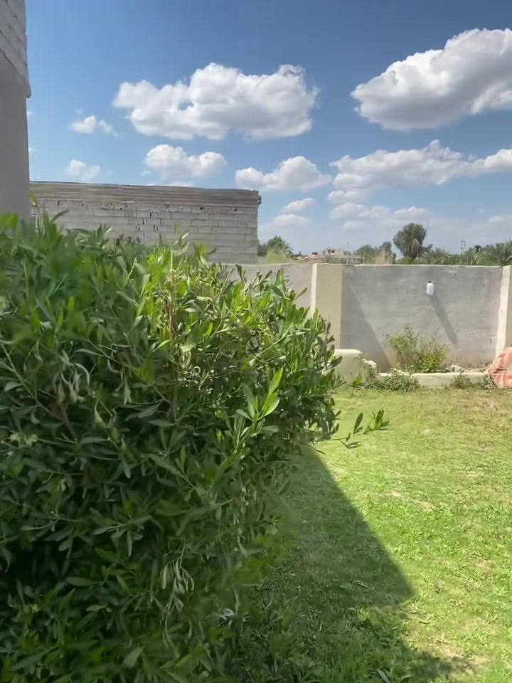 للبيع طابو زراعي ٢٥المساحه ٢٥٠ حي المهندسين الطليطله يحتوي ع ٢ نوم وصاله وستقبال وموزع جبير ومطبخ وصحيات وحديقه البيت نقص بس ارضيه ***********السعر65

