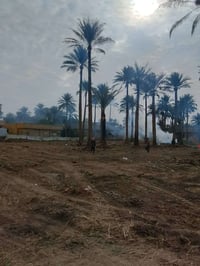 مرخصت الأدمن تكريب نخل مكلف بل نشر مكربجيه نخل 07881280549