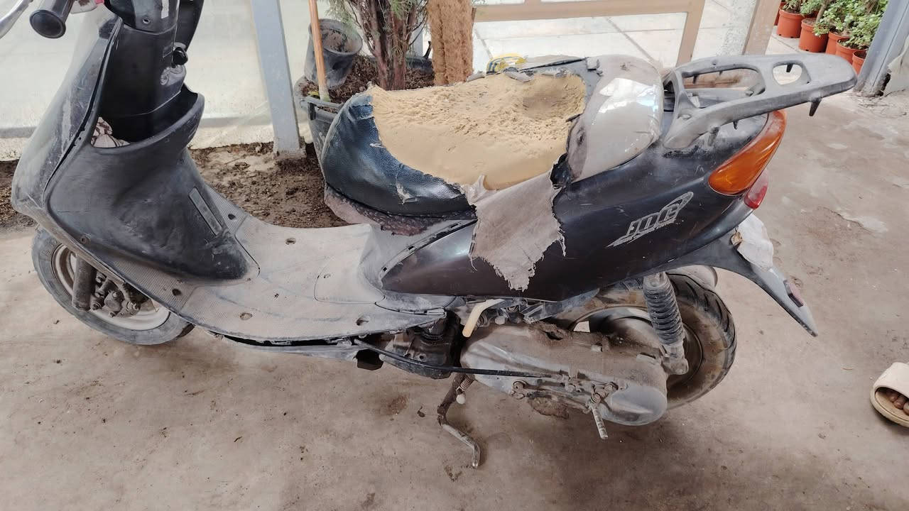 السلام عليكم عندي عصفوريه للبيع اتصال ***********
