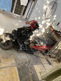 سكنس فحل • شاصي مصبوغ • بدون مكينه