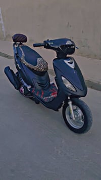ماكس منغولي • ٥٥ • كفاله