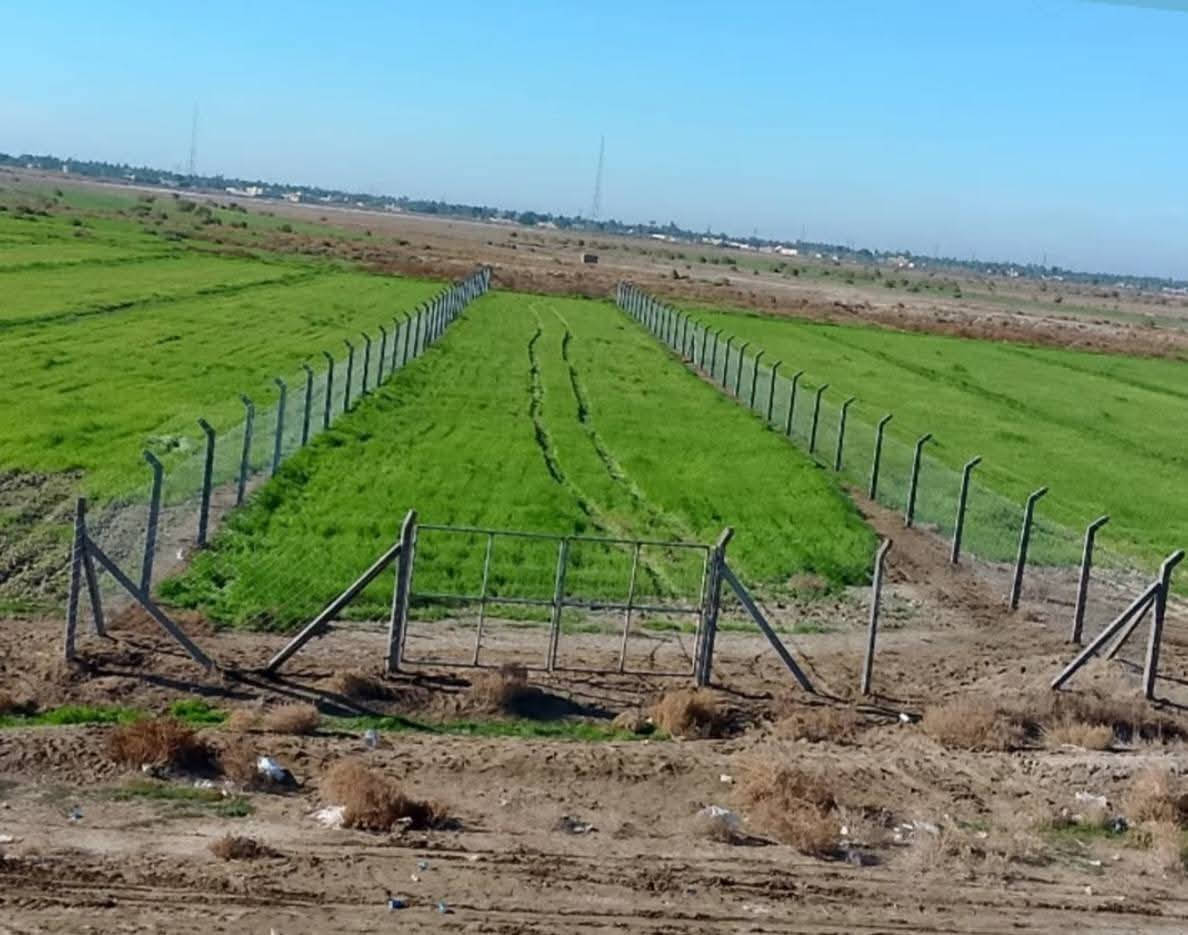 🔥 شركة أرض بابل لأسيجة الـ BRC 🔥
قوة • أمان • التزام 💪🏻🏗️

نوفر تصنيع وتجهيز جميع أنواع أسيجة الـ BRC
🔹 بجادر وبدون جادر
🔹 حسب الطلب وبمواصفات تناسب كل مشروع

💰 سعر المتر يبدأ من 5,000 دينار ولغاية 11,000 دينار
(حسب النوع والسماكة والطلب)

نتعامل مع:
🏢 دوائر الدولة
🌳 المتنزهات
🌴 البساتين والمزارع
🏠 المشاريع السكنية والاستثمارية

🚛 نعمل في جميع محافظات العراق

✔️ جودة عالية
✔️ تنفيذ دقيق
✔️ التزام بالمواعيد

📞 للاستفسار والحجز راسسلنا من الزر اسفل المنشور او على الارقام
0780 110 8029 واتساب 
***********
***********
