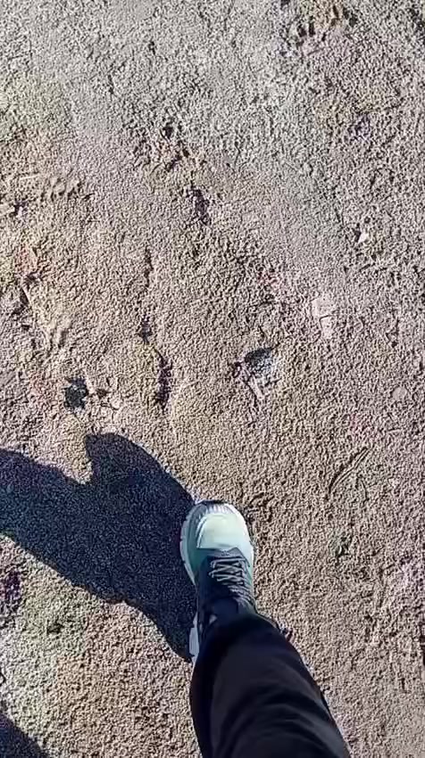 سلام عليكم قطعه ارض للبيع مساحه ٢٥٠ متر سند ٢٥ مكان موضح بالفيديو سعر ١٦ للاتصال ***********
