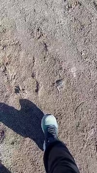 كربلاء • ٢٥٠م • سند