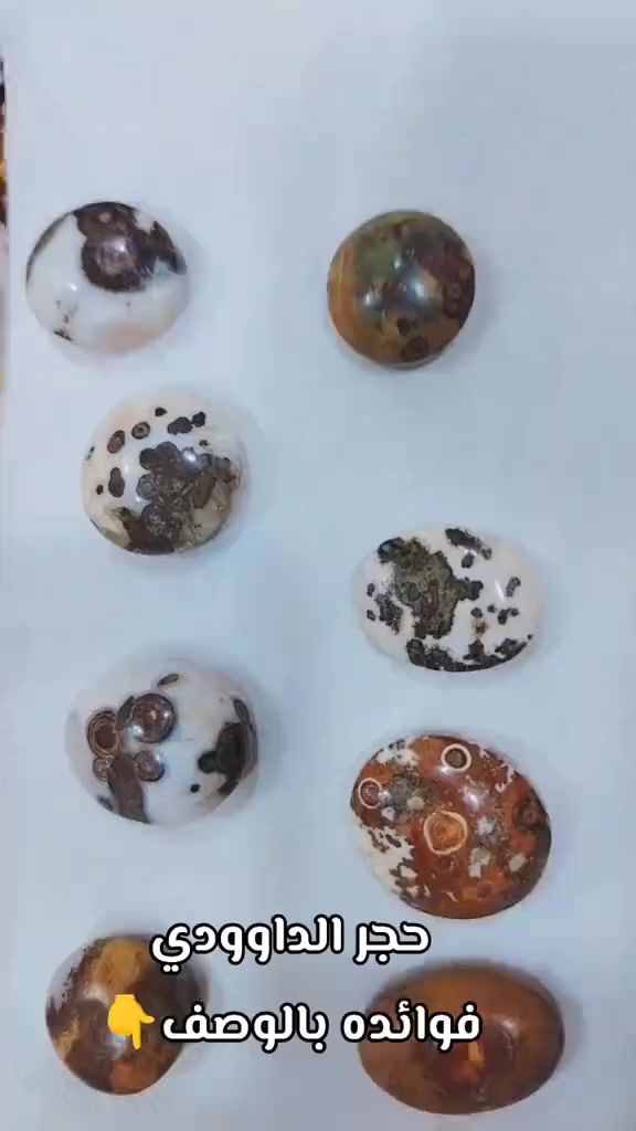 احجار الداوودي  للبيع  جملة  اللي حاب يشتري يتواصل على الخاص


**إذا كنت صاحب هذا الإعلان وتريد حذفه لأي سبب، رجاءا أرسل رسالة إلى الدعم الفني**