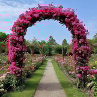 أقواس زهور • كردستان • شبكات BRC